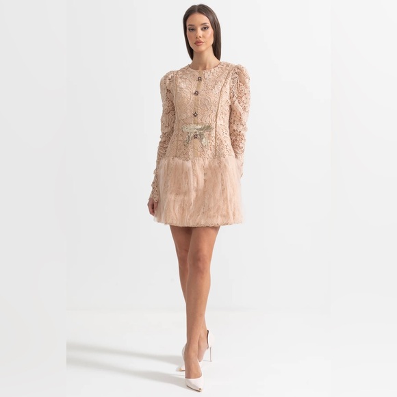 NWT Sierra Darien Elegant Lace Long Sleeve Dress in Cream M - Picture 3 of 8